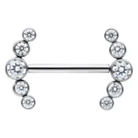 Penta Crystal Barbell aus Titan, Silber Silberner Nippel Barbell mit kristallklaren Steinen, symmetrisch angeordnet auf weißem Hintergrund