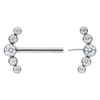 Penta Crystal Barbell in Silber 14mm Silberner Penta Crystal Barbell mit klaren Kristallen, Länge 14mm