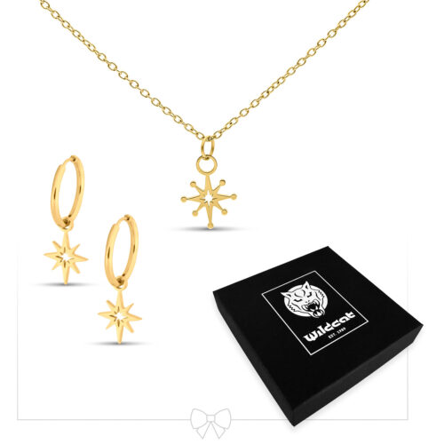 Polar Star Necklace with Hoops Set