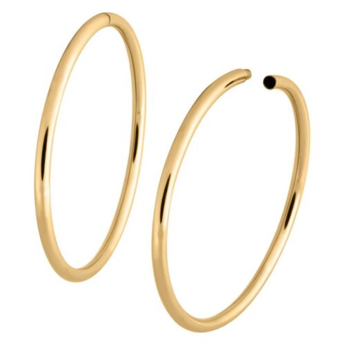 Big Silver Hoop Earrings for Tunnels <!--6357d74418e89--> - Golden Metal