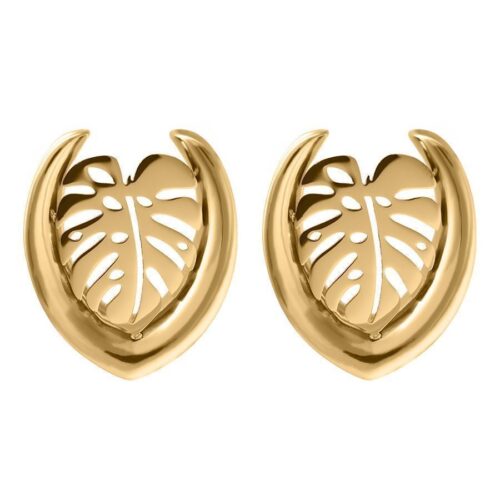 Ear Saddles Monstera