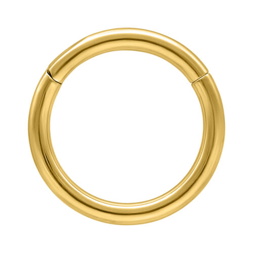 Titanium Septum Clicker Ring <!--63988e523444f-->