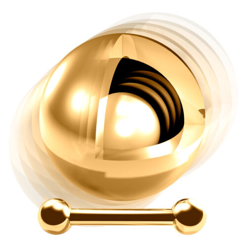 Rattle Barbell-