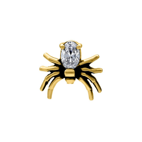 Internally Spider Attachment