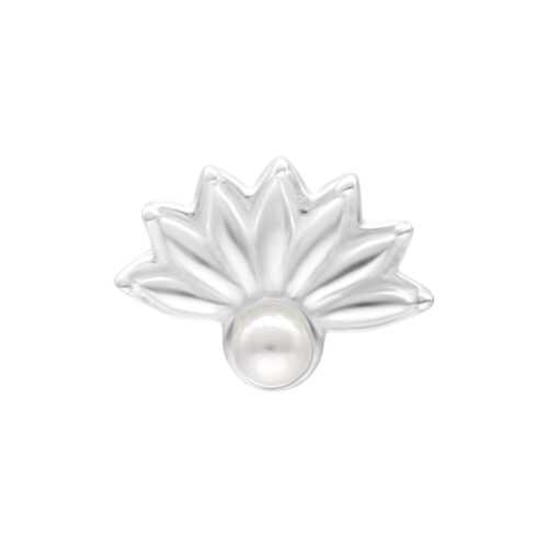 Push Fit Pearl Peacock Attachment for Bioplast
