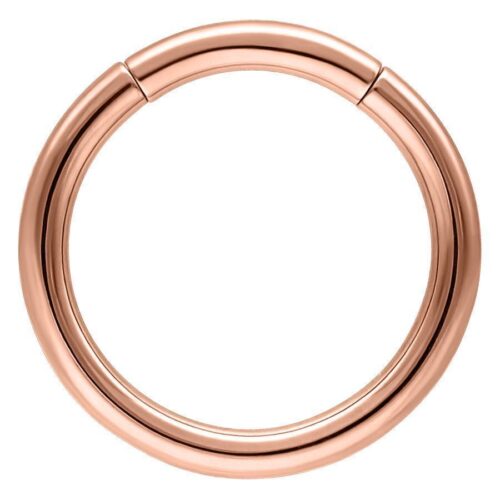 Basic Segmentring<!--6357de74881dd--><!--636e78dd9eac7-->