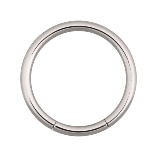 Basic Segmentring<!--63dcd0fe0740e-->