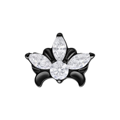 Push Fit Tiara Aufsatz