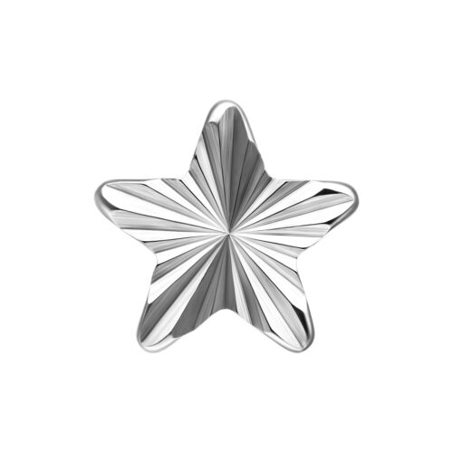 Push Fit Riffled Star Attachment - Silvercoloured Metal