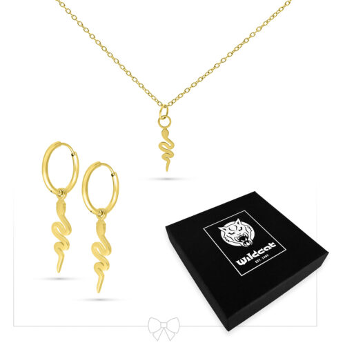 Little Snake Necklace with Hoops Set