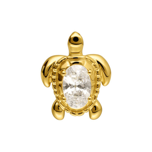 Push Fit Turtle Attachment - Golden Metal