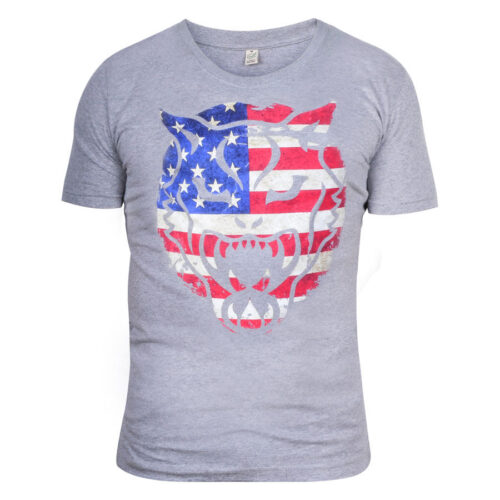 Vintage Stars & Stripes